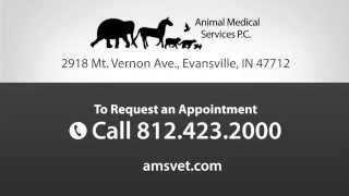 preview picture of video 'Animal Medical Services - Short | Evansville, IN'