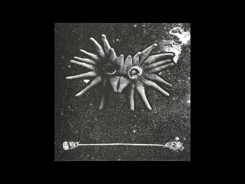 +HIRS+/Water Torture - split