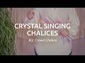 Meinl Sonic Energy CSC7BCL Crystal Singing Chalice 7" thumbnail 5