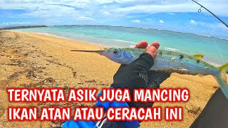 Download lagu ‼️TERNYATA BEGINI CARA MANCING IKAN ATAN, CERACAH ATAU JULUNG-JULUNG‼️ MANCING PASIRAN mp3 Download lagu ‼️TERNYATA BEGINI CARA MANCING IKAN ATAN, CERACAH ATAU JULUNG-JULUNG‼️ MANCING PASIRAN mp3
