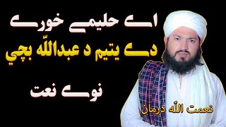 Download lagu Ay Haleeme Khore || De Yatem Da Abdullah Bache || By Niamat Ullah Darman mp3