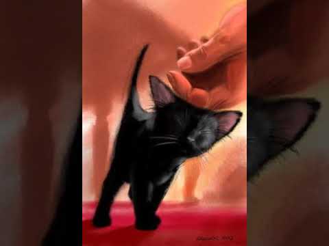 Come Together   lunar network entertainment a51h5