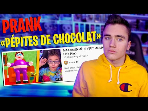 J'aurais jamais du faire ce prank... (pépites de chocolat)