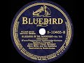 1939 Glenn Miller - Bluebirds In The Moonlight (Silly Idea)  (Marion Hutton, vocal)