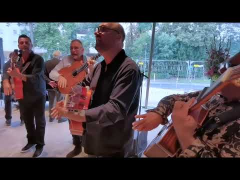 The Allstars of Gipsy - Que si que no