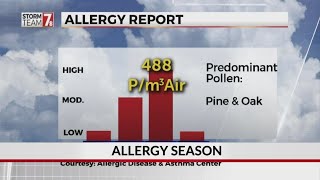 High pollen count leads to more allergy reports in Upstate