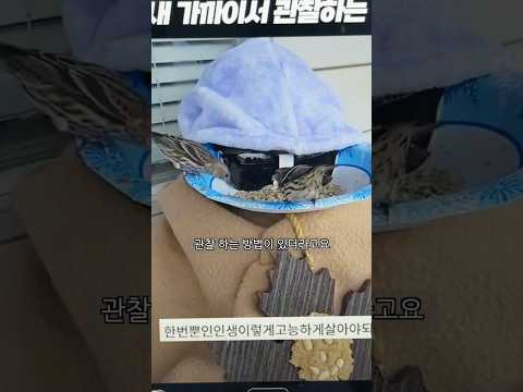 똑똑하게 새 관찰하는 법