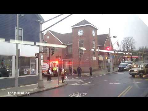 TheMBTADog: MBTA Bus 42 Ride: Forest Hills to Dudley Square via Washington Street & Egleston Square