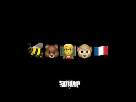 abelha, urso, professor macaco russo tik tok