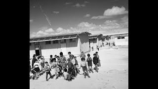 Dimona Twist - Trailer