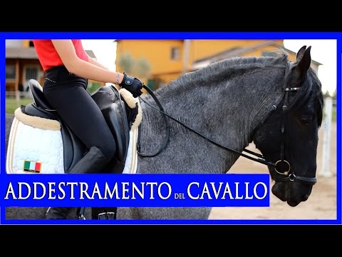 Farmaco alla caviglia GIUNTI prevenzione mani
