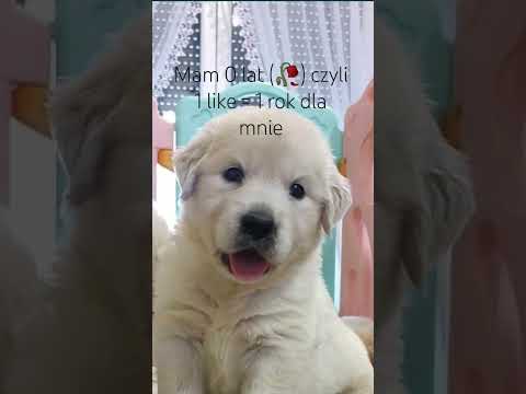 nawet tu nie będzie 100 like 😭