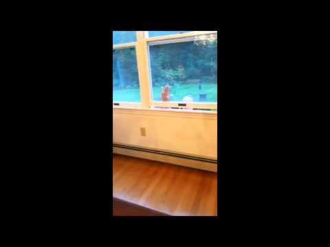 Vocab Project: Astute