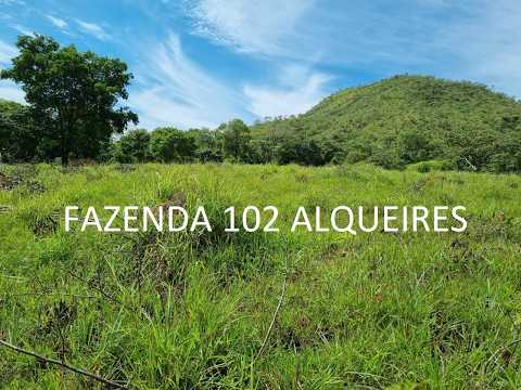 Fazenda 102 Alqueires 20 km Asfalto Niquelândia Goiás