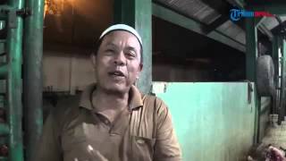 Download lagu Rumah Potong Hewan BP Batam Butuh Dokter Hewan mp3