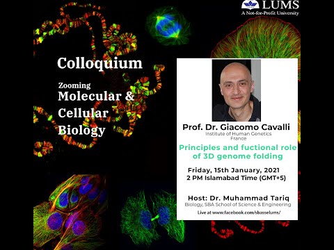 Principles and functional role of 3D genome folding by Prof. Dr. Giacomo Cavalli