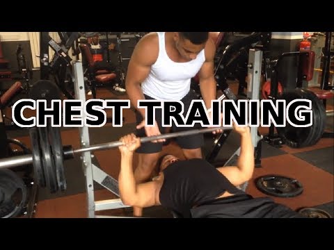 comment augmenter pectoraux