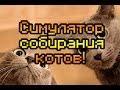 Обзор Virtual Cat Collecting Simulator 2000 [Симулятор собирания ...