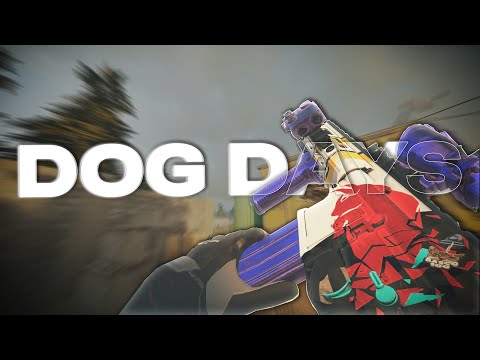 Dog Days ☀️ | (OCE) R6 MONTAGE