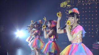 [4K] 東京女子流 - ヒマワリと星屑  / Tokyo Girls&#39; Style - Himawari to Hoshikuzu