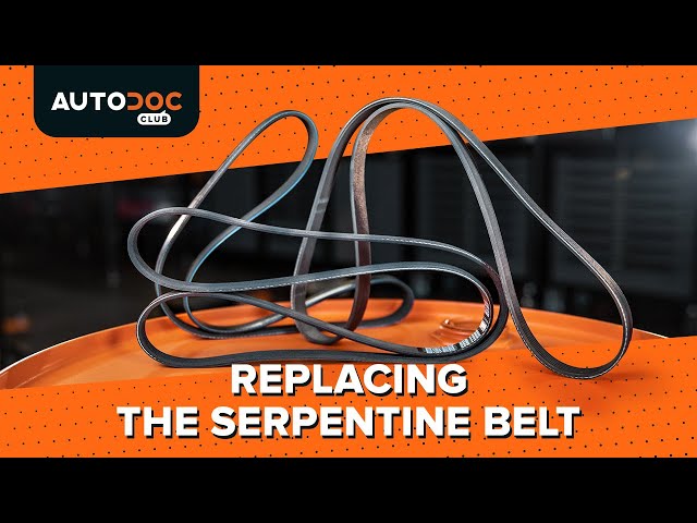 Watch the video guide on MERCEDES-BENZ INTOURO Drive belt replacement