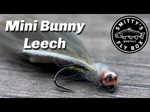 Mini Bunny Leech