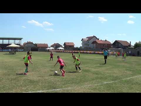 Šampion - Perfect; 2012. godište