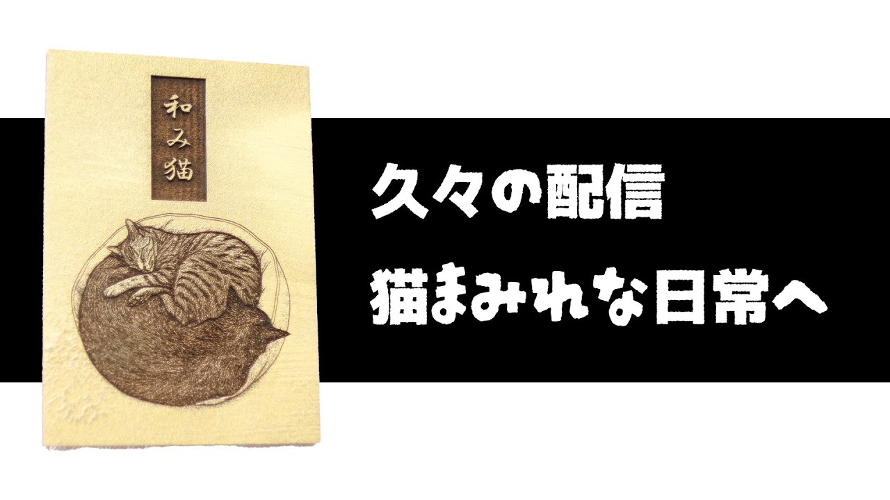 近況報告！ 猫たちとの日々と、進化したクラフト制作