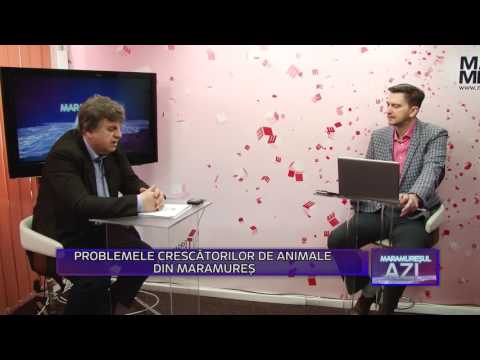 Maramuresul Azi - Problemele crescătorilor de animale din Maramureș