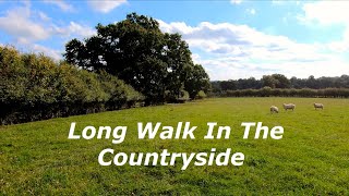 Long Walk In The Countryside - Virtual Treadmill Hike - Autumn Scenery UK