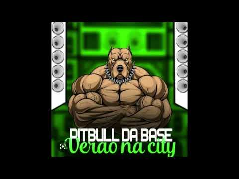 CD PITBULL DA BASE - OUTUBRO VERÃO 2K22 DEIVINHO GRAVAÇÕES