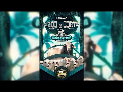 LEILÃO GADO DE CORTE FORMOSO LEILÕES - FORMOSO - GO - 18/09/2025