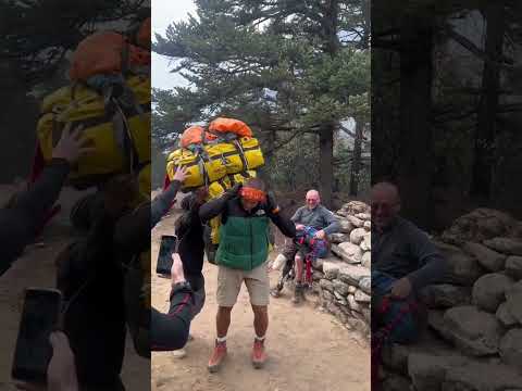 Sherpa are the BEST in the mountains | EVEREST NEPAL 🇳🇵❤ #sherpa #ytshorts #everestsherpa #shorts