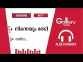Sajna Manish Unni Album Ninneyum Thedi Gallery JukeBox