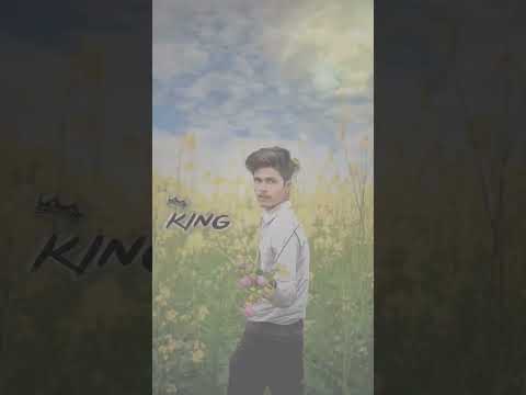 Top 10 today hashtags · #today - 48% · #love - 9% · #instagram - 6% 6% · #like - 5% · #photography -