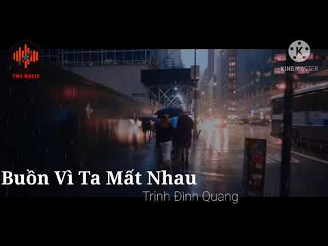 Buồn Vì Ta Mất Nhau - Trịnh Đình Quang