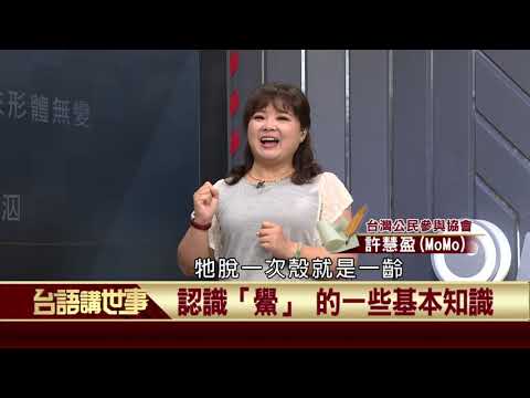  - 保護台灣大聯盟 - 政治文化新聞平台