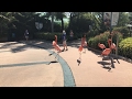 Live Walking With Flamingos