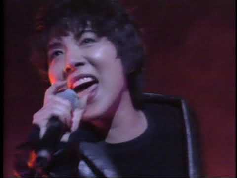 山下久美子 OK!This the POP!