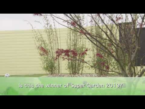 Supergarden 2019 - Episode 4 Reveal
