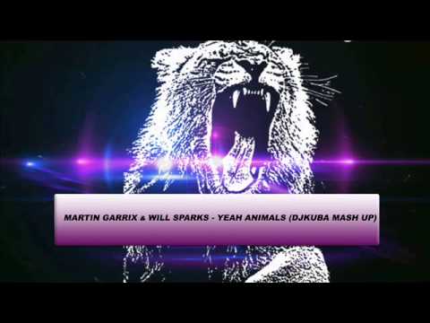 Martin Garrix & Will Sparks   Yeah Animals Dj Kuba Mash Up)