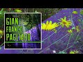 Algo Parecido A Ti - Gian Franco Pagliaro / Discos Fuentes [Audio Oficial]
