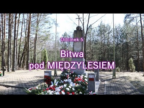 Bitwa pod Międzylesiem #5