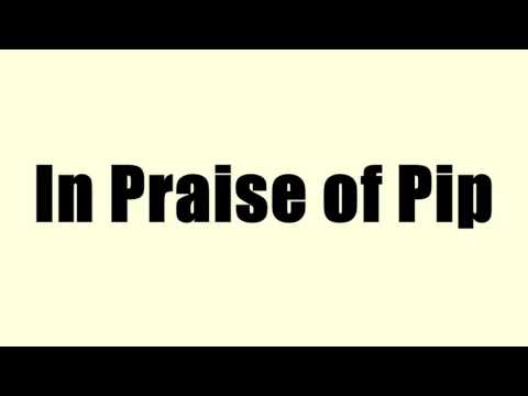 In Praise of Pip