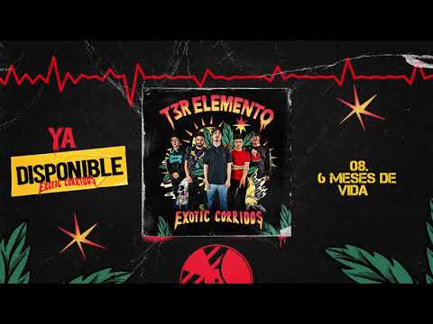6 Meses de Vida - T3R Elemento - DEL Records 2021