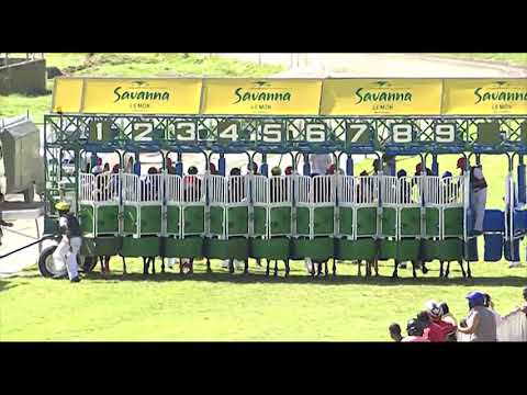 RM31 R6 | Trip To The Sky | J.Allyhosain