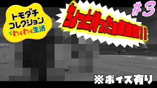 トモコレ　わくわく生活】ここが我らの酒税島!🥃絶対おちょけて来ただけやん!!🌟恋愛対象は全員!!【Tomodachi Collection: Exciting Life】#3