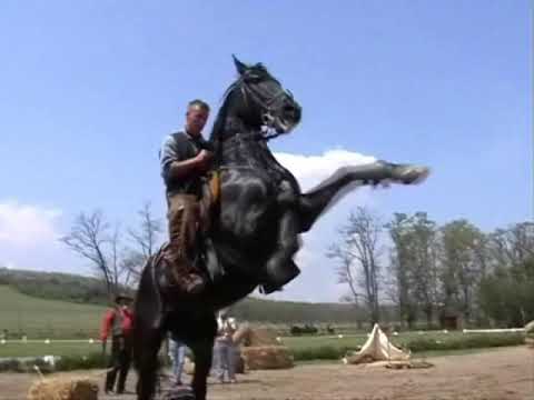 Western vadnyugati műsor