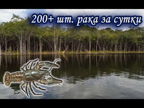 Авто ловля лавки
