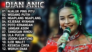 Download lagu DIAN ANIC FULL ALBUM 2025 versi live streaming anica nada yoo mp3